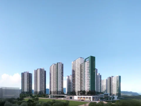 visual-bg-new_11zon